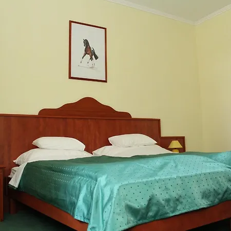 Biczo Csarda Es Lovaspanzio Bed and breakfast Fulopszallas